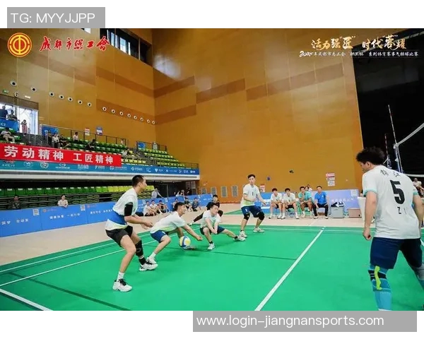 成都排球队转型之路的挑战与机遇探索杯赛特别报道